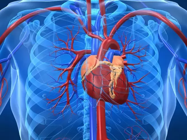 Exercițiile de creștere a potenței sunt contraindicate pentru bolile de inimă
